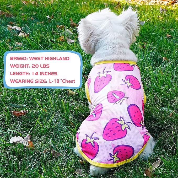 KYEESE 2Pack Dog Shirt, Lightweight Sun Protection Dog T Shirts for Small Medium Dogs Girl, Breathable Mesh Tank Top Sleeveless Pet Reflective Vest, Soft Summer Dogs Clothes, Strawberry+Rose Red, XL