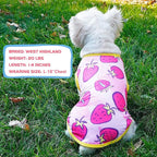 KYEESE 2Pack Dog Shirt, Lightweight Sun Protection Dog T Shirts for Small Medium Dogs Girl, Breathable Mesh Tank Top Sleeveless Pet Reflective Vest, Soft Summer Dogs Clothes, Strawberry+Rose Red, XL