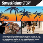 Wolfgang Heavy Duty Dog Leash, Pull-Tested for Walking & Training, SunsetPalms Print, Small