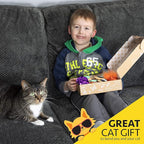 Kitty City Basic Cat Toy Box, Brown
