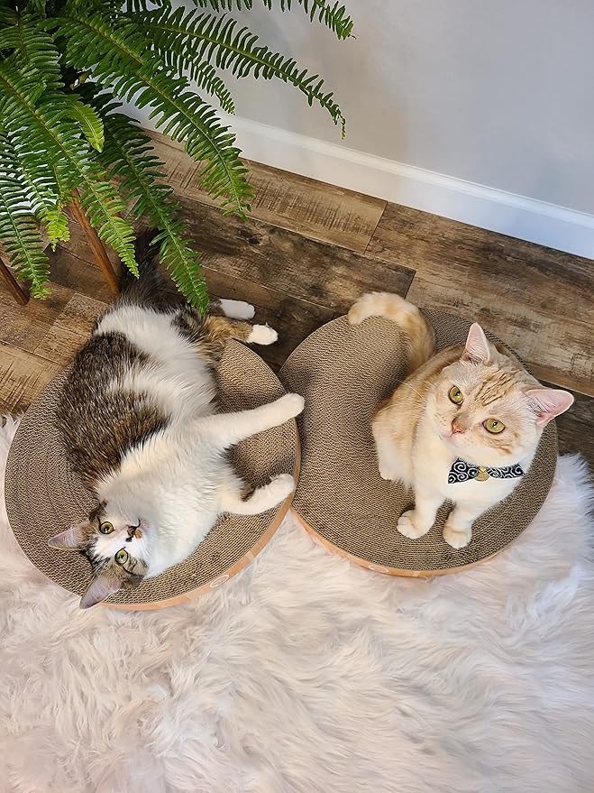 Necoichi Cat Scratcher Bowl Replacement for Indoor Cats - Cat Scratching Lounger with Reversible Usability and Extra Comfort for Lounge, Cardboard Bed Couch / (Regular, Oak)