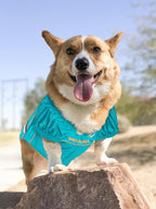 Pets First NFL Pets NFL Jerseys