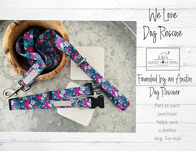 Lucky Love Dog Wide Dog Collar - Adjustable, Durable, Soft Webbing, & Comfortable 1.5 inch Wide Collar for Dogs Male and Female with Strong Buckle - Carriebelle, Medium