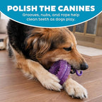 Outward Hound 2-in-1 Dental Dog Chew Wheel Ring & Rope Tug Toy for Teething Puppies & Dogs, Mint-Scented & Teeth-Cleaning, 9-Inch, Purple