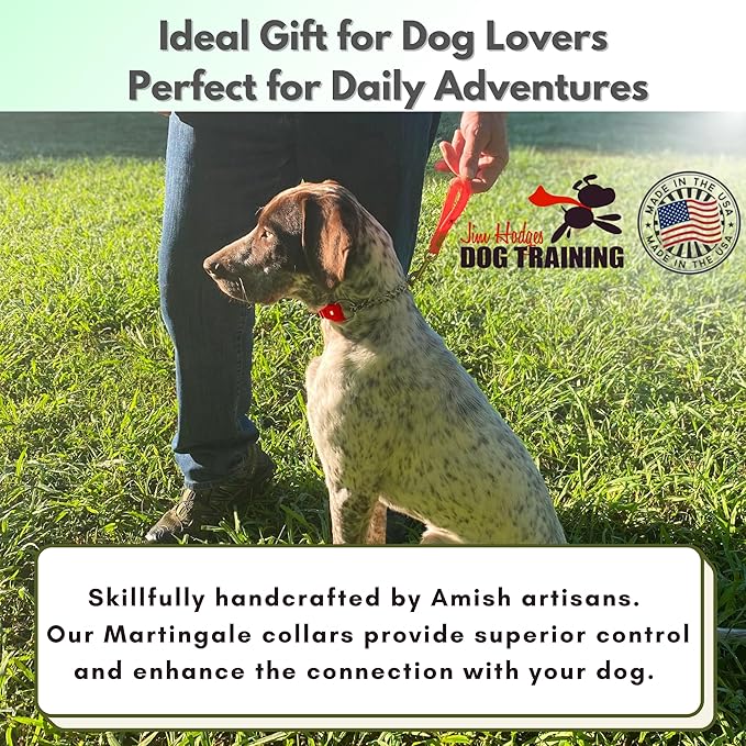 Martingale Collar for Dogs, Biothane, Stainless Steel Hardware, No Pull, Made in The USA, Professional Grade, XL, Red