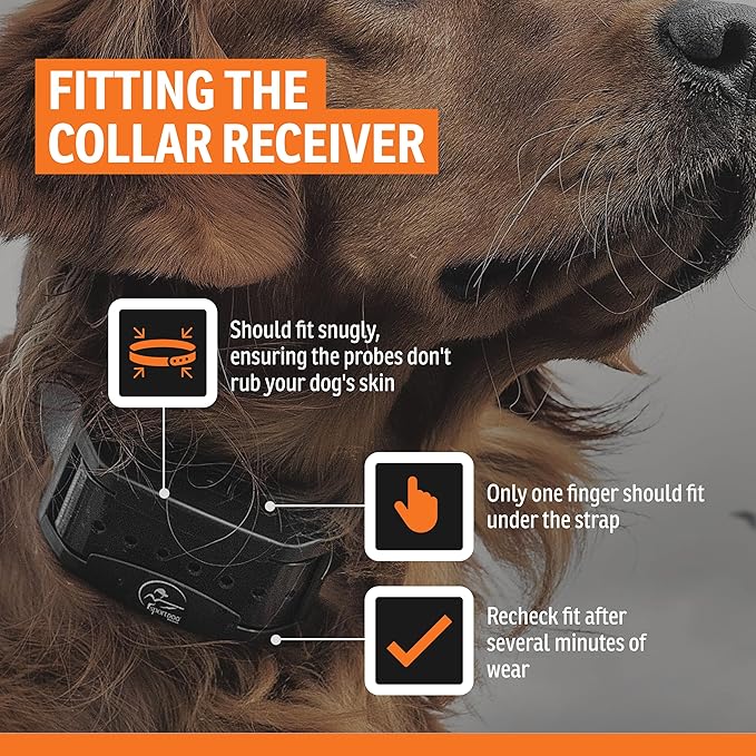 SportDOG Brand Contain + Train Add-A-Dog Collar One Size