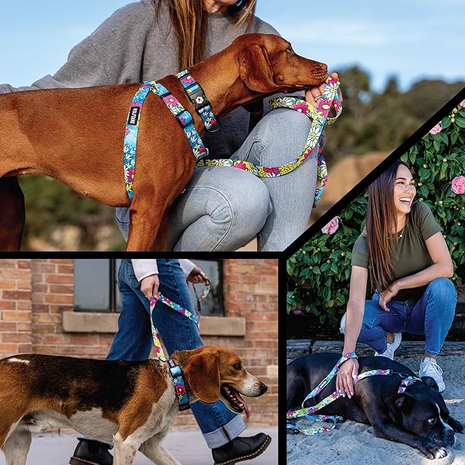 Wolfgang Heavy Duty, Adjustable Dog Collar with Quick Release Nylon Buckle for Walking & Training, LazyDaisy Print, Small