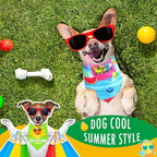 Frienda 20 Pcs Summer Spring Dog Bandanas Hawaiian Style Washable Triangle Pet Bibs Assortment Puppy Kerchief Accessories for Small Medium Pets Dogs Cats(X-Large)