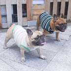 iChoue English Bulldog T Shirts 100% Cotton Striped Clothes for Medium Dogs Tank Tops Vest Large French Frenchie Pug Boston Terrier Pitbull Summer Pink Stripes - XL