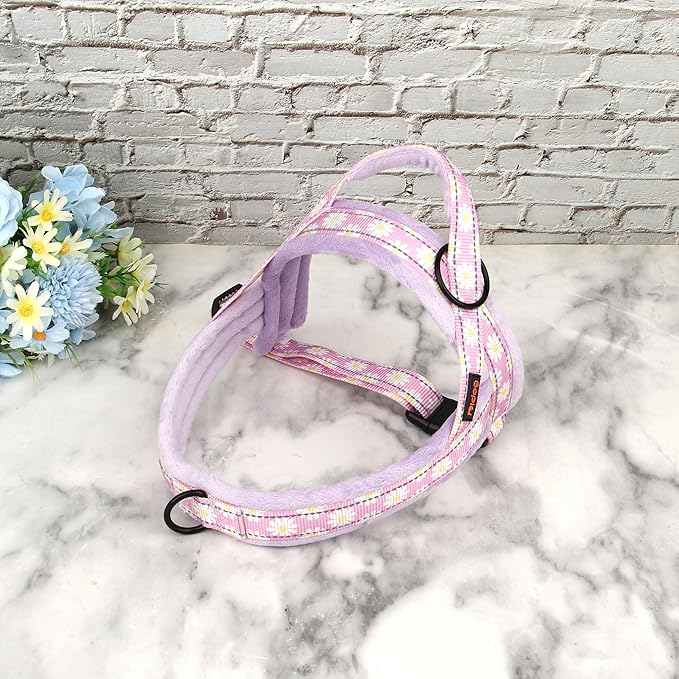 Didog No Pull Dog Harness with Soft Padded, Easy Walk Dog Harness with Quick Release Buckle, Adjustable & Reflective Pet Harness with Soft Padded for Small Medium Dogs (S:Chest 19-22", Purple)