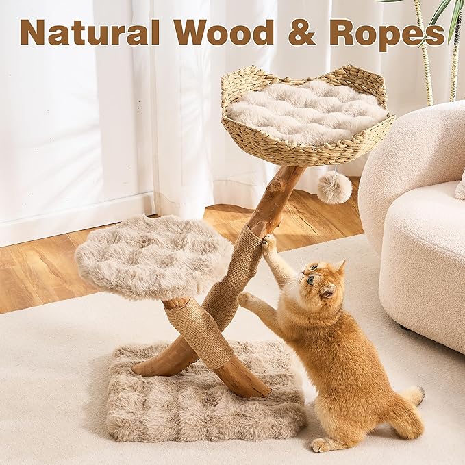 HITTITE Natural Solid Wood Cat Tree Tower with Scratching Post, 32 Inches Tall Modern Cat Tower with Rattan Bed and Platforms, Luxury Real Branch Cat Tree for Indoor Cats Large Adult, Khaki.