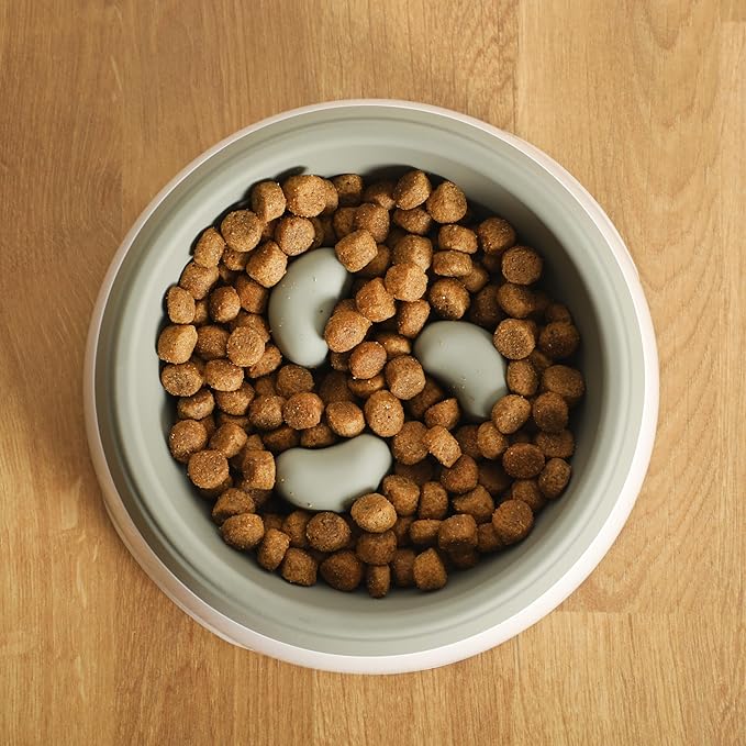 Gibson Home Curious Canines Slow Feeder Dog Bowl, 6.75” Melamine Anti-Gulp Feeding Bowl, Non-Slip, Dishwasher Safe, Green