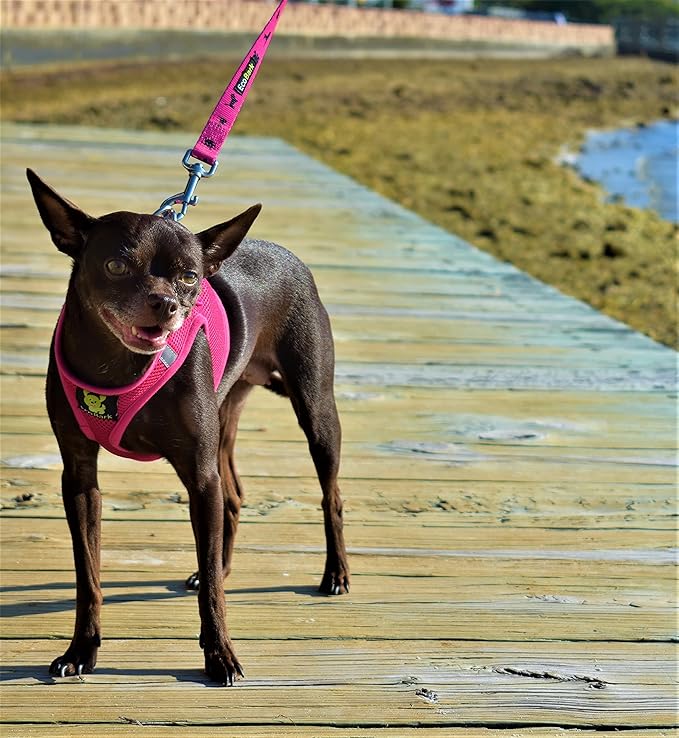 EcoBark Premium Quality Small Dog Harness - Step in Reflective Luxury Soft Mesh Harnesses for Puppies, Toy Breeds, & Small Dogs - Comfortable & Safe Body Halter - Adjustable Pet Vest (Small, Pink)