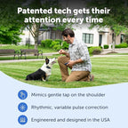 PetSafe Pro Dog Trainer with Remote - Effective Dog Training - 15 Levels of Static Correction - Waterproof Collar - Rechargeable Training Collar - Compact Remote Transmitter
