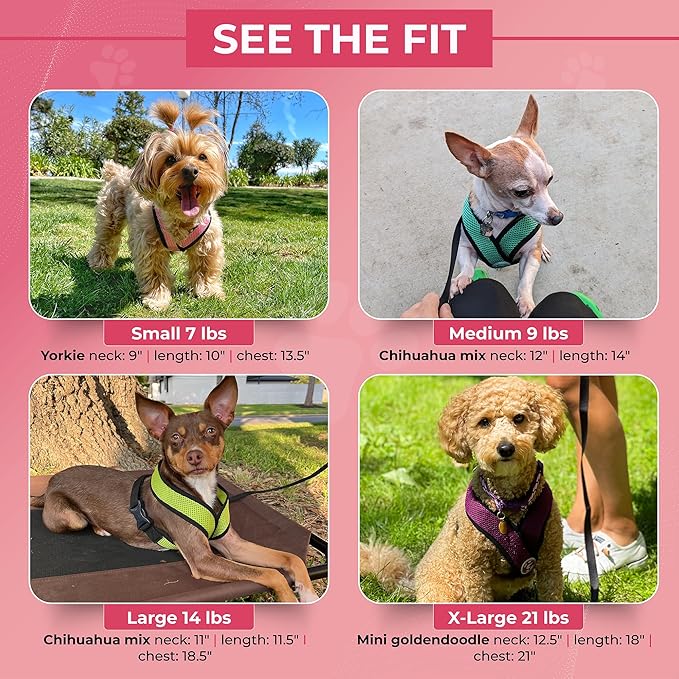 Gooby Comfort X Head In Harness - Black, Medium - No Pull Small Dog Harness Patented Choke-Free X Frame - Perfect on the Go Dog Harness for Medium Dogs No Pull or Small Dogs for Indoor and Outdoor Use