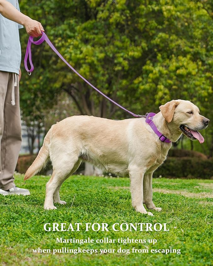 Waterproof Martingale Collar for Dogs,Easy to Clean Dog Collars with Safety Quick Release Buckle,Rubber Collar for Medium Large Dogs Walking Training (Purple, L (19.6-25.9inch))