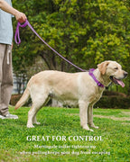 Waterproof Martingale Collar for Dogs,Easy to Clean Dog Collars with Safety Quick Release Buckle,Rubber Collar for Medium Large Dogs Walking Training (Purple, S (13.4-16.5inch))