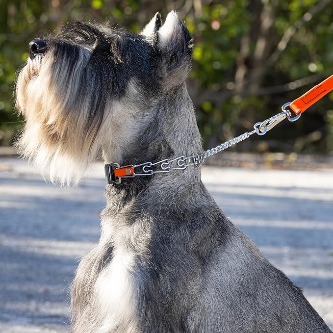 Herm Sprenger Chrome Plated Steel Dog Collar with Quick Release ClicLock Buckle and Biothane Insert Training Collar for Dogs Made in Germany (Hunter Orange, 16in x 2.25mm(Neck Size up to 13-14in))