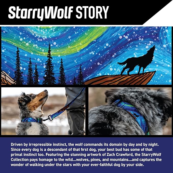 Wolfgang Heavy Duty Martingale Dog Collar with Quick Release Nylon Buckle for Walking & Training, StarryWolf Print, Small