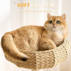 HITTITE Solid Wood Cat Tree Tower with Scratching Post, 36.6 Inches Tall Cat Towers with Scratching Board and Scratcher Ball, Modern Cat Tower With Space Capsule and Hand-Woven Basket for Indoor Cats.