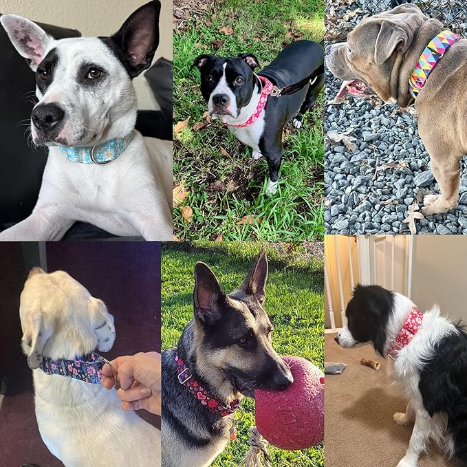 Martingale Dog Collar 1.5 Inch Wide - Bohemian Floral Print Adjustable Nylon No-Pull Training Collar for Medium/Large/XL Dogs, Heavy Duty Design for Walking, Hunting & Outdoor Activities (M)