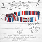 Lucky Love Dog Martingale Dog Collar - Adjustable, No-Slip, Durable, & Soft Webbing Collar for Male and Female Dogs Ideal for Training & Walking - Linus, Large