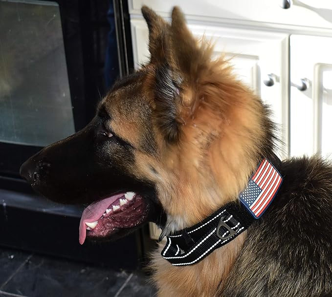 2-Inch Wide Tactical Dog Collar with Control Handle, Adjustable for Medium & Large Dogs, Military Style with Heavy-Duty Metal Buckle, USA Flag Patch & Customizable Name Plate, Training & Everyday Use