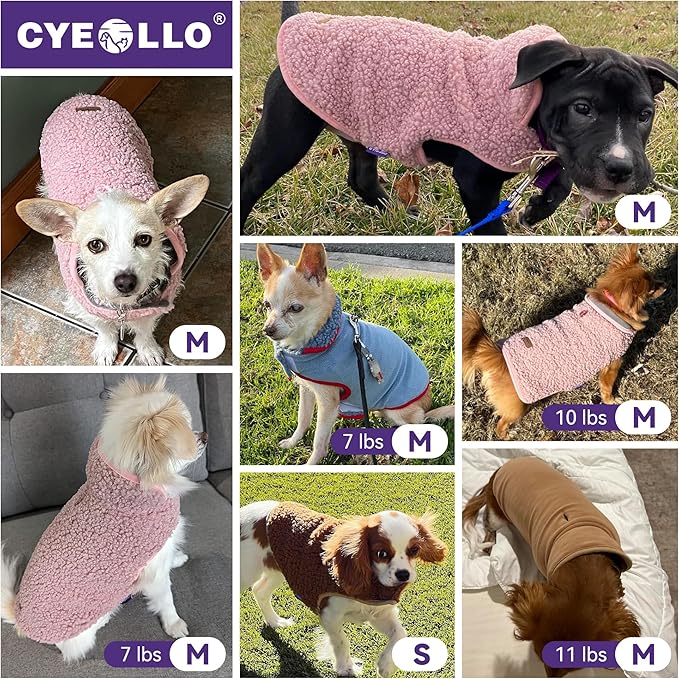 cyeollo Warm Dog Coat Fleece Sherpa Winter Sweater Coats, Turtleneck Dog Jacket Vest for Small Medium Large Dogs with Leash Hole, Soft Reversible Pet Coats for Cold Weather, Green, S