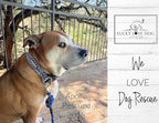 Lucky Love Dog Wide Martingale Dog Collar - No-Slip, Durable, & Soft Webbing 1.5 inch Martingale Collar for Dogs Male and Female Ideal for Training & Walking - Murphy, X-Large