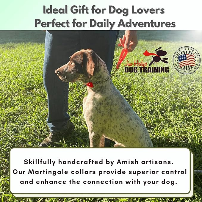 Martingale Collar for Dogs, Biothane, Stainless Steel Hardware, No Pull, Made in The USA, Professional Grade, XXS, Red