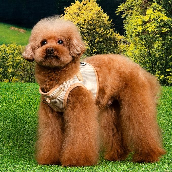 Puppia Amatus Dog Vest Harness B (Step-in) Fashionable Houndstooth Pattern Spring Summer Harness for Small and Medium Dogs, Beige, Small