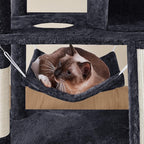 Topeakmart Cat Tower for Indoor Cats 63.5inch, Cat Furniture Condo with Scratching Posts as Kitten Activity Center