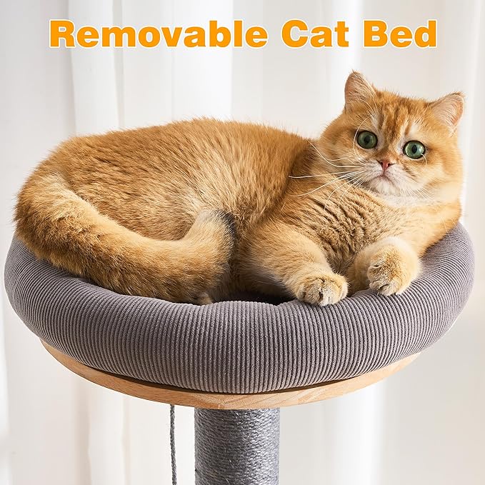 HITTITE Solid Wood Cat Tree Tower with Scratching Post, 61 Inches Tall Cat Towers with Capsule and Condo, Modern Cat Tower with Hammock and Removable Top Bed for Indoor Cats.Grey