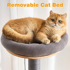 HITTITE Solid Wood Cat Tree Tower with Scratching Post, 61 Inches Tall Cat Towers with Capsule and Condo, Modern Cat Tower with Hammock and Removable Top Bed for Indoor Cats.Grey