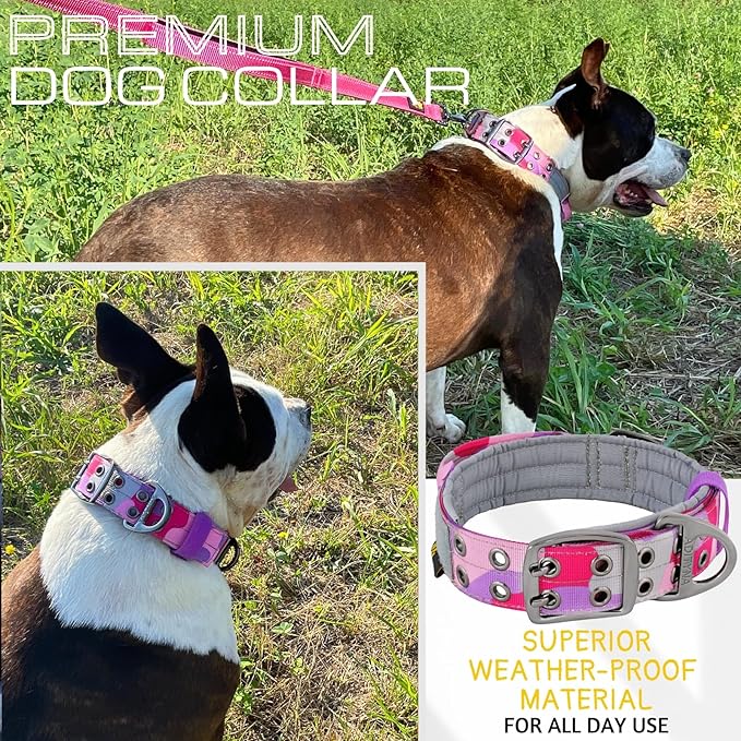 ADITYNA Heavy Duty Dog Collar for Large Dogs - Camo Pink Purple Collar with Handle for Training, and Walking - Wide, Tactical, Soft Neoprene Padded