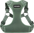 Best Pet Supplies Voyager Adjustable Step-in Flex Breathable Mesh Dog Harness for Small Medium Large Dogs Moss Green, L
