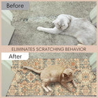 Wild Living Cat Carpet Protector for Pets Prevents and Provides a Solution to cat Ripping up Carpet Under Door Anti Scratch Door Protector cat Scratch Carpet Protector mat with Adhesive