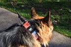 Tactical Dog Collar 2 Inch Wide Thick Heavy Duty Military Style with Metal Buckle, Adjustable for Medium - Large Breeds, Durable K9 Training Gear with Patch Area, USA Flag Patch, Strong and Secure Fit