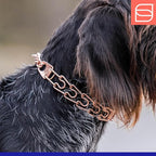 Herm. Sprenger Ultra-Plus Prong Dog Training Collar, Anti Pull Training Pinch Collar, CUROGAN (3.0 mm x 17" Neck Size; 20" Chain Length) - O-Ring Version