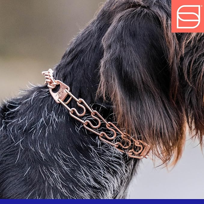 Herm. Sprenger Ultra-Plus Prong Dog Training Collar, Anti Pull Training Pinch Collar, CUROGAN (3.0 mm x 17" Neck Size; 20" Chain Length) - O-Ring Version