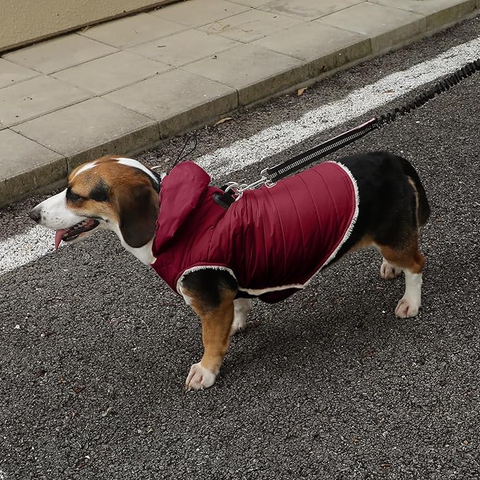 Fleece Lining Dog Hoodie with Harness Built in,Extra Warm Small Dog Jacket in Winter Puppy Coats with Drawstring Hooded,Red M