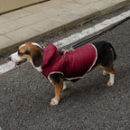 Fleece Lining Dog Hoodie with Harness Built in,Extra Warm Medium Dog Jacket in Winter Doggie Coats with Drawstring Hooded,Red L