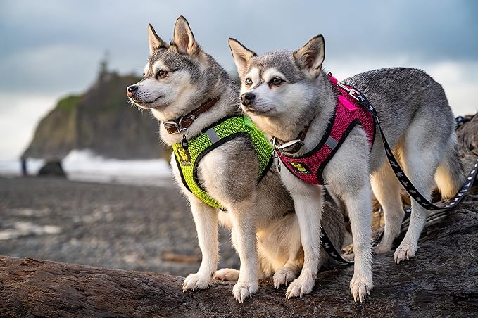 EcoBark Step in Dog Harness Reflective Soft Ultra Padded Mesh Dog Harnesses for XXS, XS, Small, and Medium Dogs Eco-Friendly Comfort Secure Halter No Pull Adjustable Pet Vest