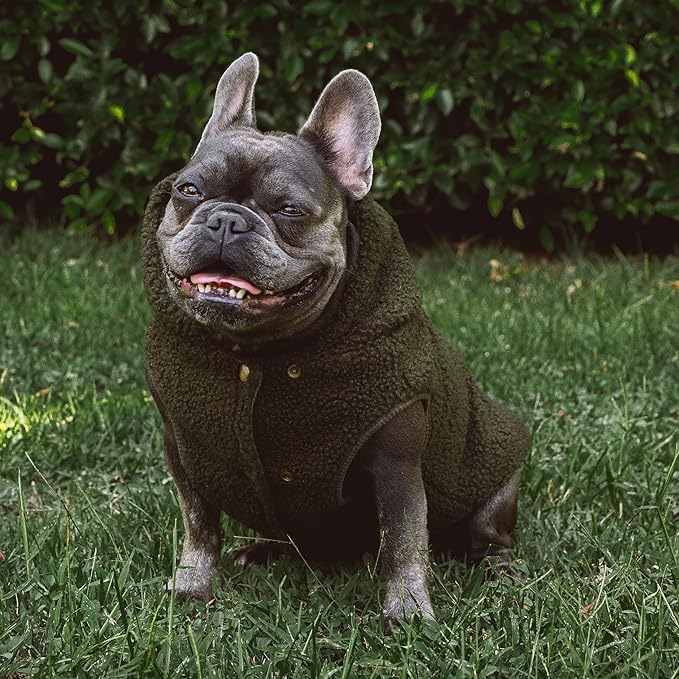 Tuff Pupper Fleece Dog Hoodie Sweater | Teddy Sherpa Outer & Soft Polar Fleece Lining | Adjustable Fit Winter Coat with Hood, Leash Hole, Ribbed Cuffs | for Small Medium Large XL XXL Dogs (Olive, S)
