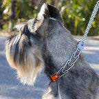 Herm Sprenger Chrome Plated Steel Dog Collar with Quick Release ClicLock Buckle and Biothane Insert Training Collar for Dogs Made in Germany (Hunter Orange, 22in x 3.0mm(Neck Size up to 18-19in))