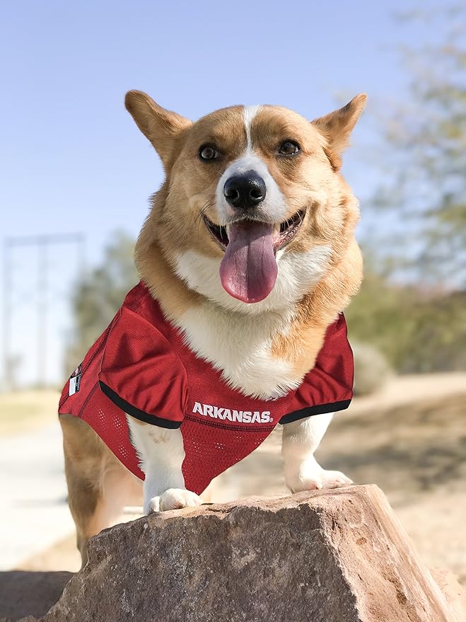 Pets First NCAA College Arkansas Razorbacks Mesh Jersey for DOGS & CATS, Small.Licensed Dog Jersey with your Favorite Football/Basketball College Team