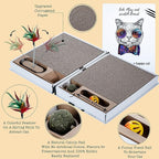 All-in-One Cat Scratcher Pad and Play Area, Foldable & Easy to Store Book-Shaped Cardboard with 2 Reversible & Replaceable PCs Dense Scratch Pad Cat/Kitten,with Cat Ball/Cat Feather Toy & Catnip Ball