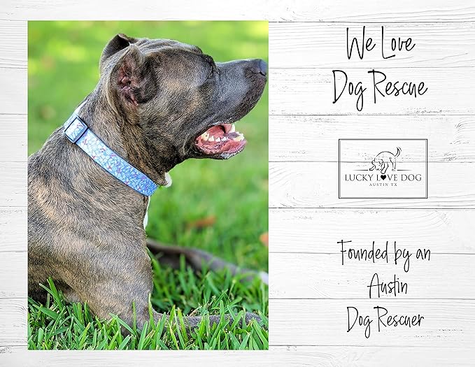 Lucky Love Dog - Adjustable Dog Collar with Easy Click Buckle for Small Dogs, Durable, & Comfortable for Male & Female Dogs, Pet Collar for Puppies & Adult Dogs - Winterblue, Small