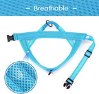 Didog No Pull Dog Harness with Soft Mesh Padded,Reflective & Quick Fit Light Weight Dog Strap Vest Harness,Easy for Walking Training (M:Chest 21-26", Mesh-Blue)