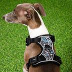 Puppia Cynthia Dog Harness H Sturdy Adjustable Neck and Chest Reflective Flower Pattern Front and Back D-Ring for Small and Medium Dogs, Black, Small